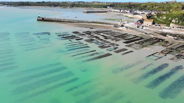Aerial drone footage of Cancale oyster farming area with extensive shellfish cultivation plots along the Brittany shoreline