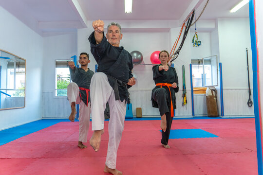 Hapkido students practicing a front kick and punch stance during a martial arts training session in a dojang