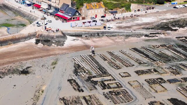 Oyster beds on exposed tidal flats near Cancale, coastal aquaculture and marine food production