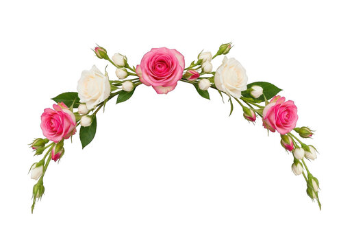 A beautiful arched arrangement of pink and white roses with green leaves and small buds isolated against a solid clean white background