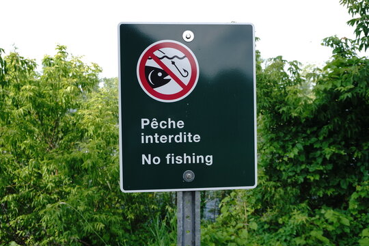 Square green sign with white border displaying a no fishing symbol and text in French and English