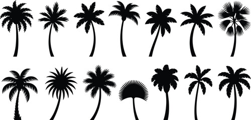 Fototapeta premium Collection of various palm tree silhouettes in black, isolated on a white background, featuring different leaf shapes, trunk curvatures, and heights for tropical projects