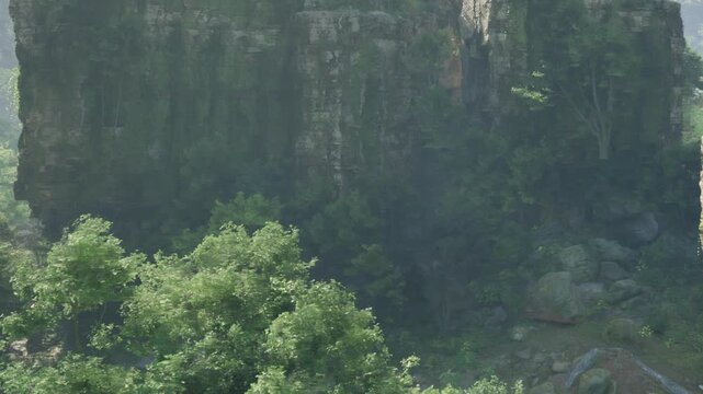 The scene shows a rocky cliff surrounded by dense green trees and bushes. The sunlight filters through the greenery. This is a natural area with no human activity visible.