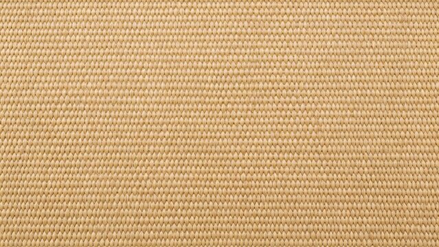 Woven beige seagrass rug texture