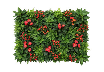 Obraz premium A vibrant vertical garden wall featuring lush green foliage and bright red flowers isolated against a solid black background for modern interior design
