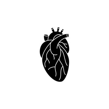This is a minimalist vector illustration of a Human Heart icon, featuring a simple, clean, and solid glyph style. The icon can be used as a symbol, sign, or logo.