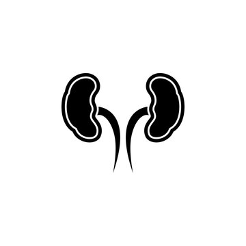 This is a minimalist vector illustration of a Kidneys icon, featuring a simple, clean, and solid glyph style. The icon can be used as a symbol, sign, or logo