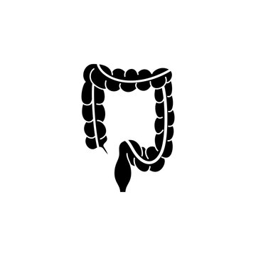 This is a minimalist vector illustration of an Intestine icon, featuring a simple, clean, and solid glyph style. The icon can be used as a symbol, sign, or logo