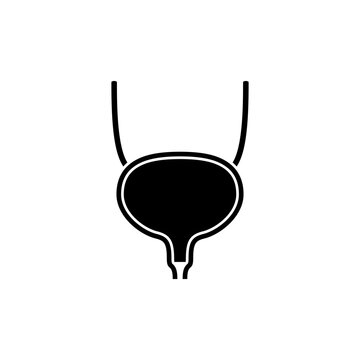 This is a minimalist vector illustration of a Bladder icon, featuring a simple, clean, and solid glyph style. The icon can be used as a symbol, sign, or logo
