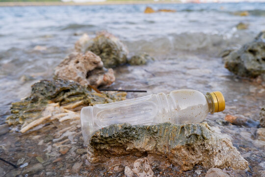Clear plastic bottle litter discarded on a rocky coastal shore, highlighting marine pollution and environmental damage