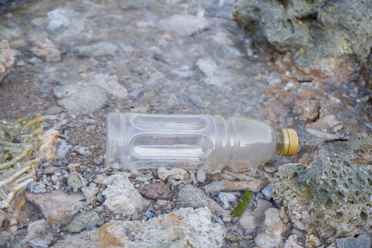 Clear plastic bottle litter discarded on a rocky coastal shore, highlighting marine pollution and environmental damage