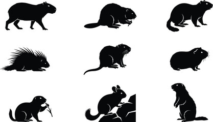 Obraz premium Wild Rodent Animal Silhouette Icon Collection with Capybara Beaver and Porcupine Symbols for Nature Graphic Design Projects