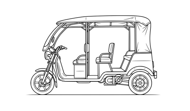 Drawing of a Calcutta Toto, Profile, Vector  illustration