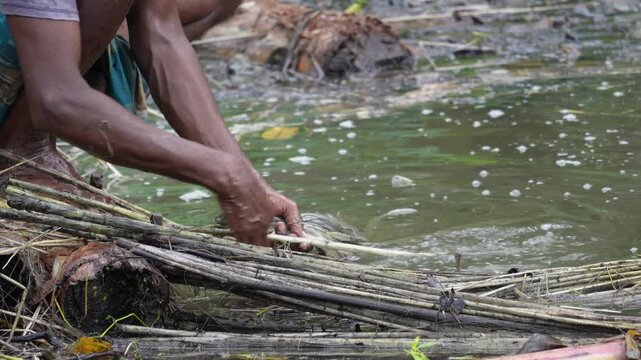 Farmer retting and stripping jute fibers in water