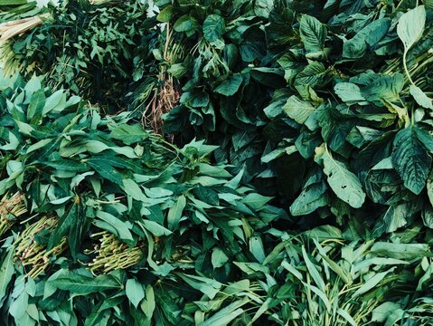 Close up full frame view of bundled fresh tropical leafy greens at Indonesian market