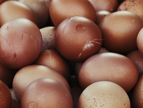 Close up macro pattern of raw brown chicken eggs filling the frame