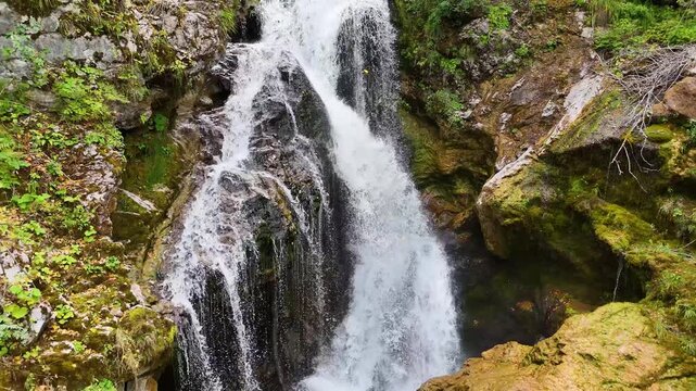 Walking along the Vintgar gorge to see the famous &Scaron;um waterfall at the end of the Vintgar Valley, Triglav national park, Slovenia, Eruope