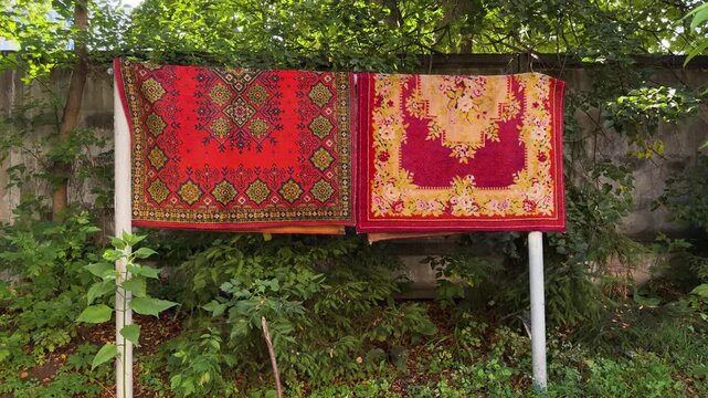 Two colorful traditional rugs hanging on outdoor fence, red pink carpets with ornamental floral patterns, green foliage, airing, cleaning, domestic chore