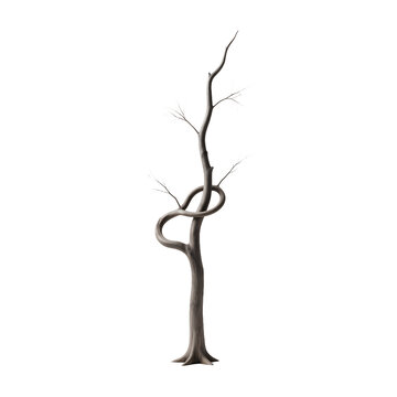 A single bare leafless tree with a twisted trunk isolated on transparent background