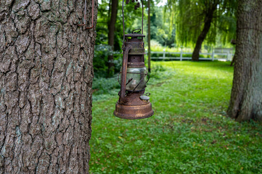 Rustic rusty vintage kerosene hurricane lantern hanging on tree trunk in green garden