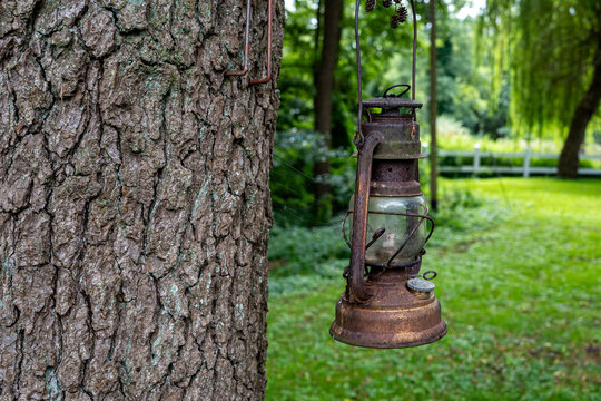 Rustic rusty vintage kerosene hurricane lantern hanging on tree trunk in green garden