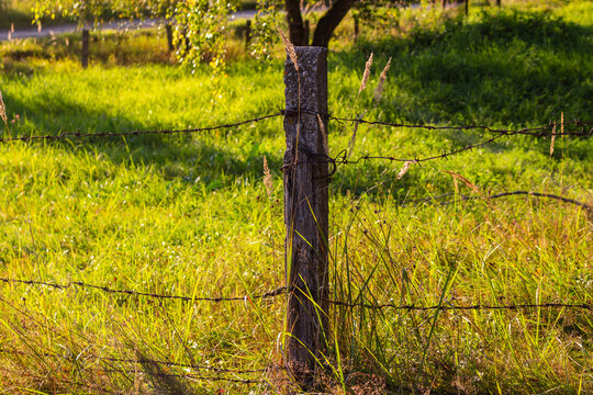 Rustic weathered fence post wrapped in sharp barbed wire standing tall amidst a vibrant grassy meadow, bathed in the warm, golden glow of a late summer afternoon sunlight