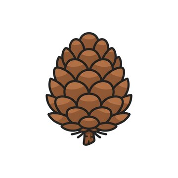 Detailed pinecone vector graphic with black outlines. Great for autumn and winter seasonal designs, forest nature themes, and holiday decor elements.