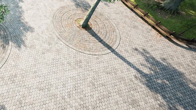 Green trees stand near a stone path in a city park. The ground shows a pattern of hexagonal stones. Shadows from the trees create shapes on the ground in daylight.