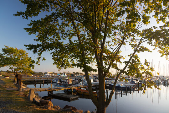 Serene Mommark Marina on Als island in Denmark with sailboats moored in golden morning light.