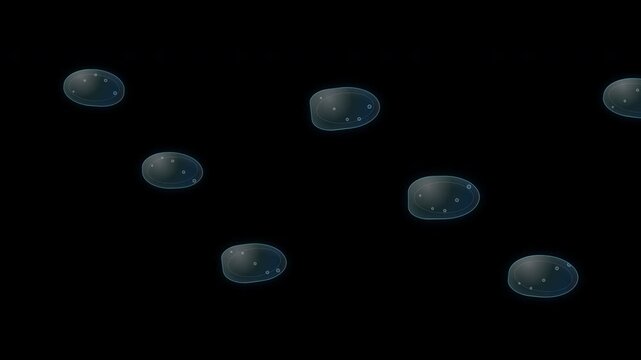 Liquid Metric Lenses Animation on Transparent Background