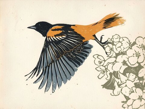 Vintage Linocut Print of Baltimore Oriole Bird in Flight