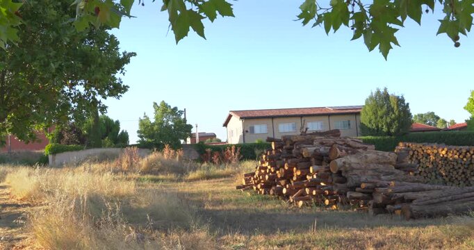 Rural landscape with a pile of firewood logs in Quintana Redonda