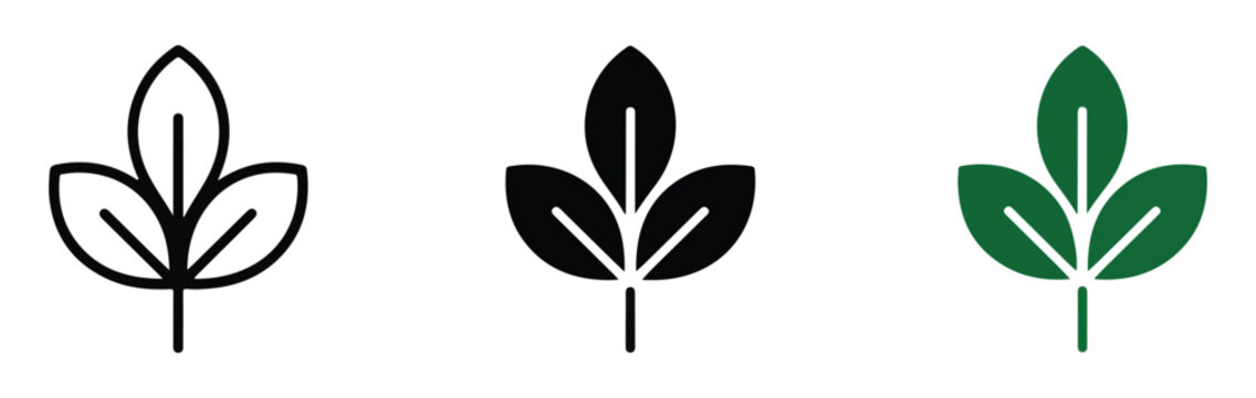 Tripartite leaf vector icon design available in black outline and solid green styles for botanical brand logos.