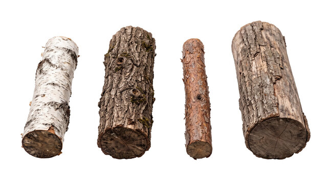 fallen log PNG set , white background as transparent