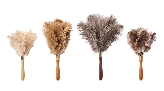 feather duster PNG set , white background as transparent
