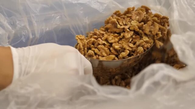 Scoop pouring shelled walnut halves into stainless steel mixing bowl from low oblique viewpoint, with walnut, nut, kernel, shelled detail, showing halve, piece, scoop, pour context