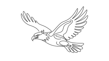 Fototapeta premium Flying eagle profile view line art illustration.