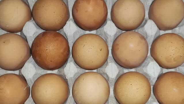 Fresh Brown Eggs In Carto