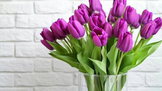 Bunch of Purple Tulips in a Glass Vase Against a White Brick Wall