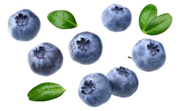 blueberries with green leaf isolated on white background. macro. clipping path