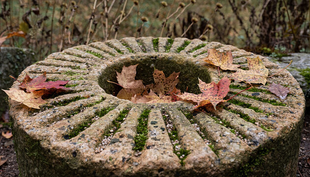 Abandoned Millstone with Moss in Dressing Grooves