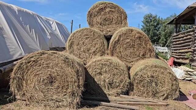 Bales of hay stacked in a farm area with natural light during the day