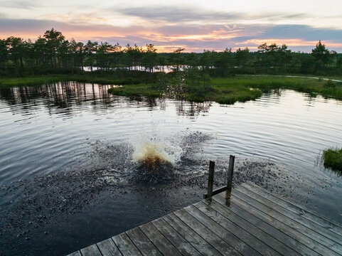 High-angle drone view of a water splash from a person jumping off a wooden pier into a dark bog lake in Estonia during sunset.
