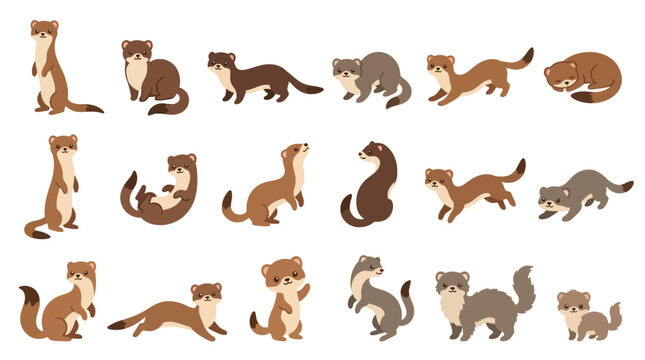 Set of cute cartoon ferrets in various poses and actions isolated on white background.