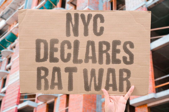 "NYC declares rat war" Mayor action. NYC. DECLARES. RAT. WAR. PEST.