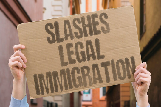 "slashes legal immigration" Policy impact. SLASHES. LEGAL. IMMIGRATION. REDUCTION.