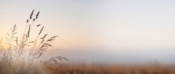 Fototapeta premium Minimalist Soft Focus Silhouette of Autumn Grasses against Misty Gradient Background for Seasonal Campaign