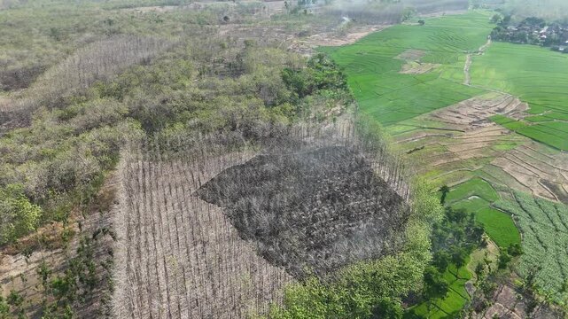 Aerial drone view of forest fire smoke rising from a burning patch in a dry teak woods next to lush green agricultural rice fields and a rural village.