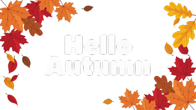 Autumn leaves surround the greeting hello autumn in a vibrant vector illustration on black fall foliage maple oak