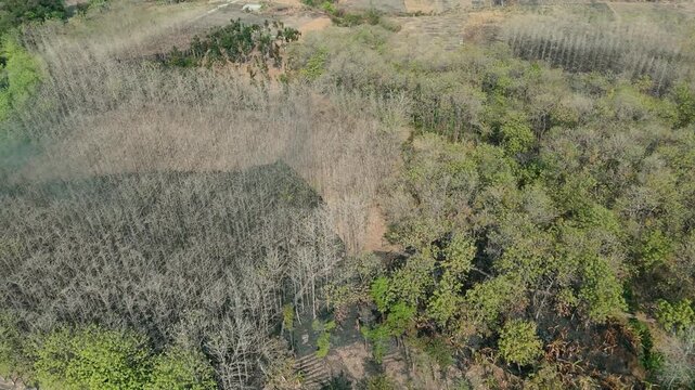 Aerial drone view of forest fire smoke rising from a burning patch in a dry teak woods next to lush green agricultural rice fields and a rural village.